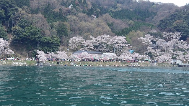 2015琵琶湖お花見ツーリング